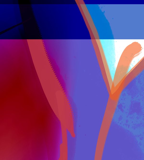 shocircle_103 - Image 4