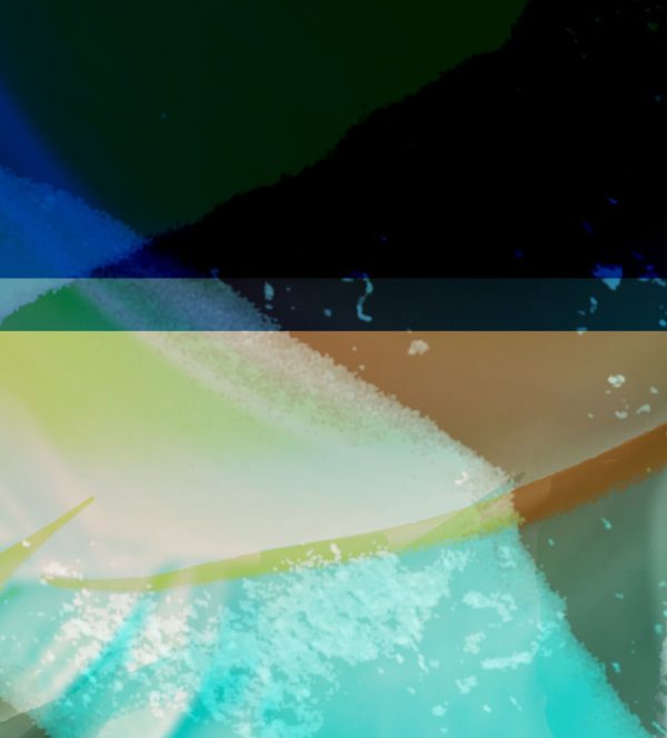 shocircle_128 - Image 4