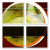 shocircle_032