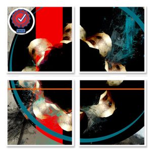 shocircle_033