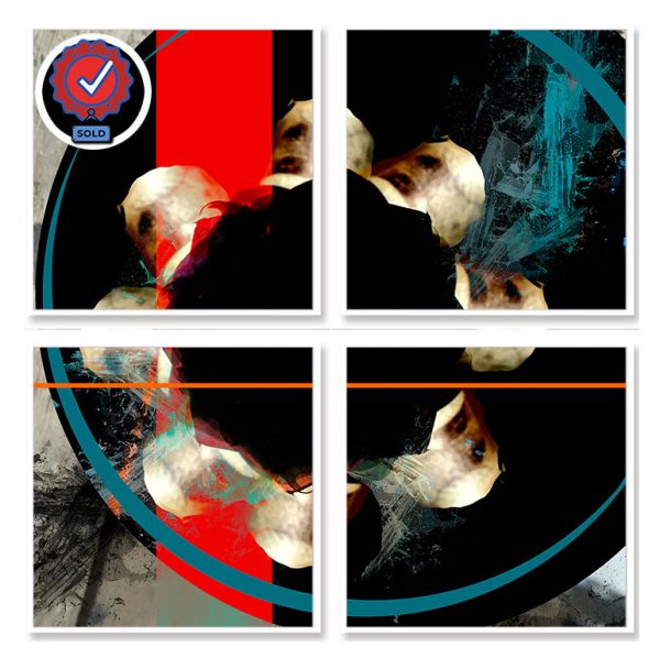 shocircle_033