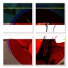 shocircle_046
