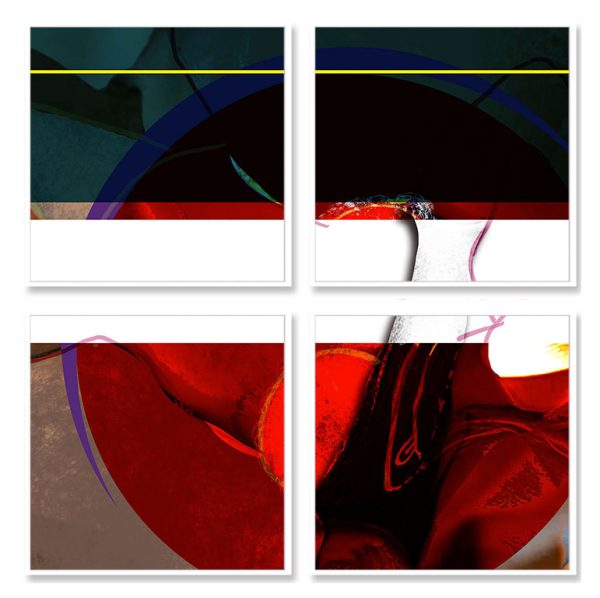 shocircle_046