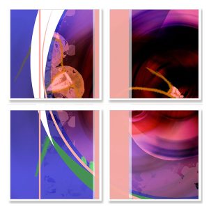 shocircle_083