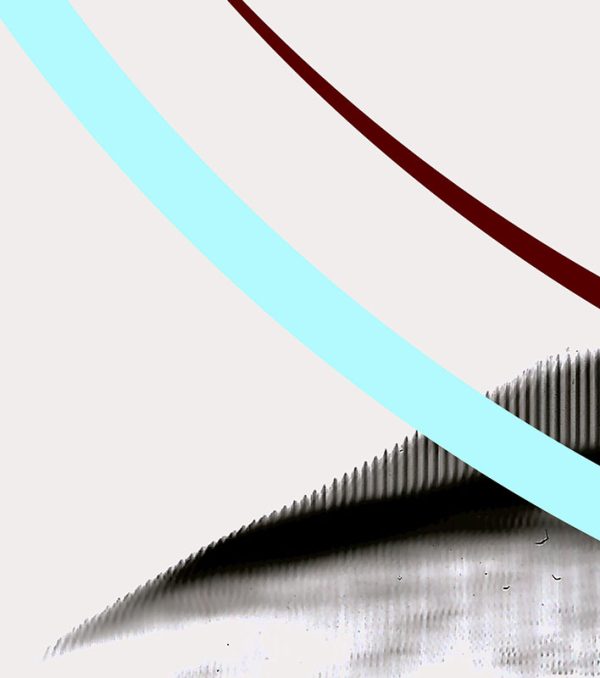 shocircle_000 - Image 5
