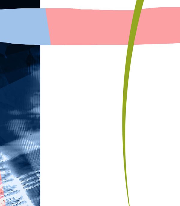 shocircle_001 - Image 4