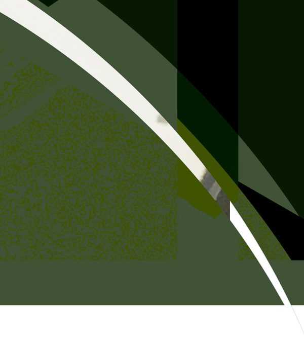 shocircle_003 - Image 7