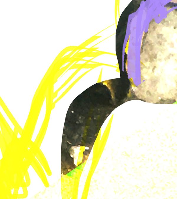 shocircle_003 - Image 6