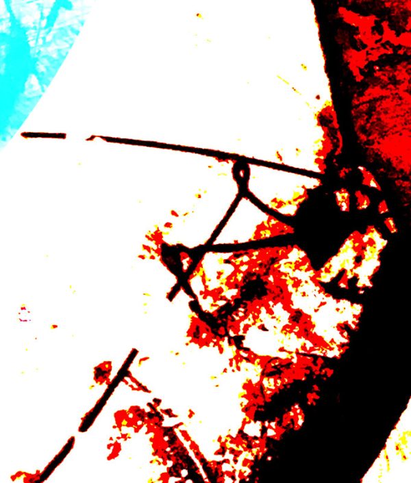 shocircle_015 - Image 6
