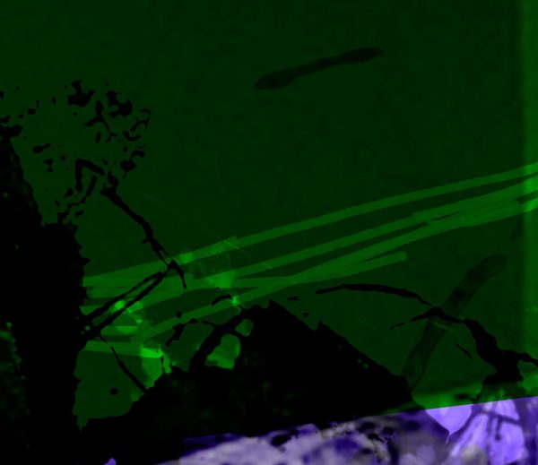 shocircle_042 - Image 4