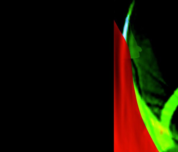 shocircle_053 - Image 4