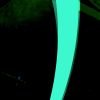 shocircle_053 - Image 3