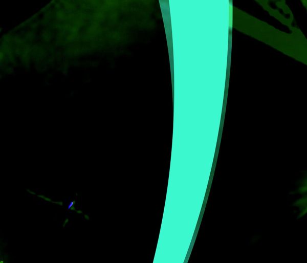shocircle_053 - Image 3