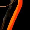 shocircle_088 - Image 4
