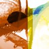 shocircle_108 - Image 7