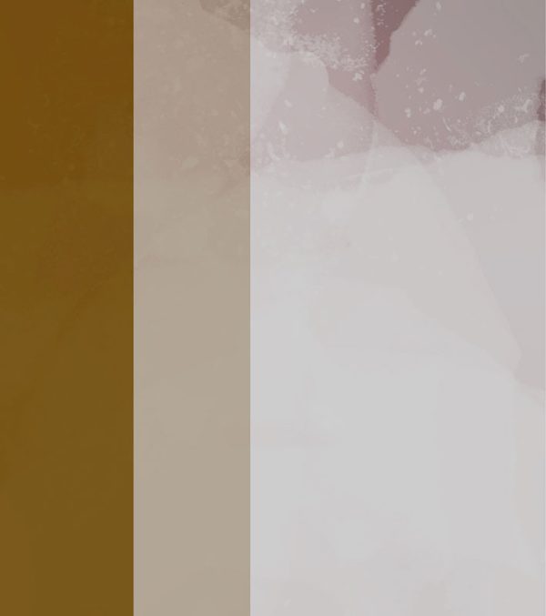 shocircle_110 - Image 4