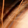 shocircle_111 - Seriado - Image 7