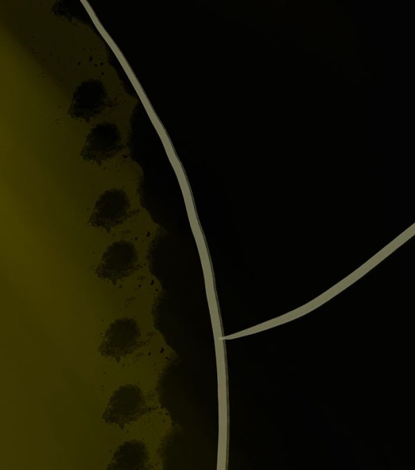 shocircle_113 - Image 4