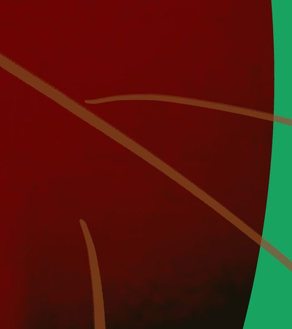 shocircle_117 - Image 5