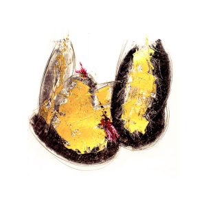 NNEM_005 / Serie - fragmento III
