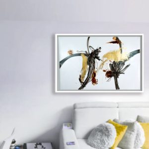 Serie NNEM_035